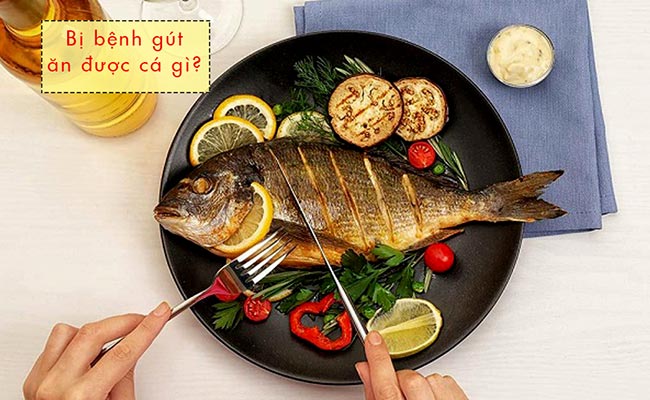 Bệnh gút ăn được cá gì?