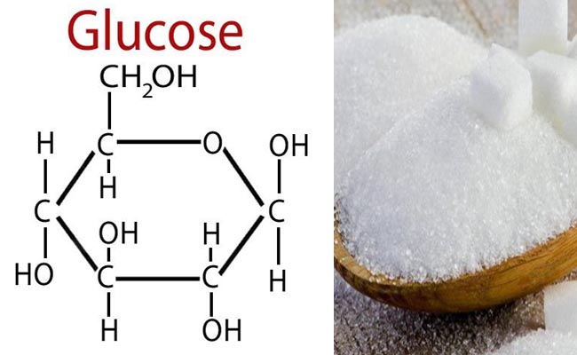 Glucose hay thường gọi là đường